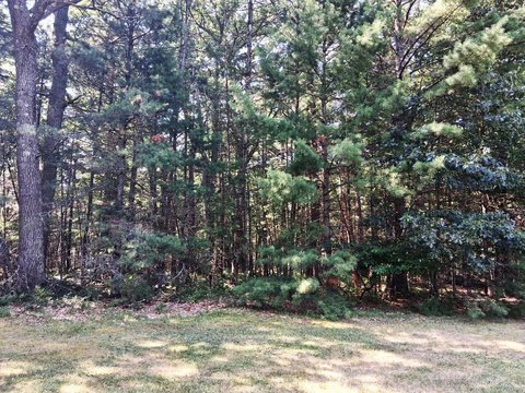 PRUDENVILLE, MI