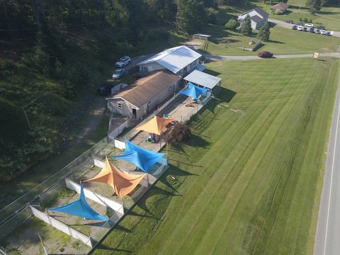 Successful Doggie Daycare Business Opportunity