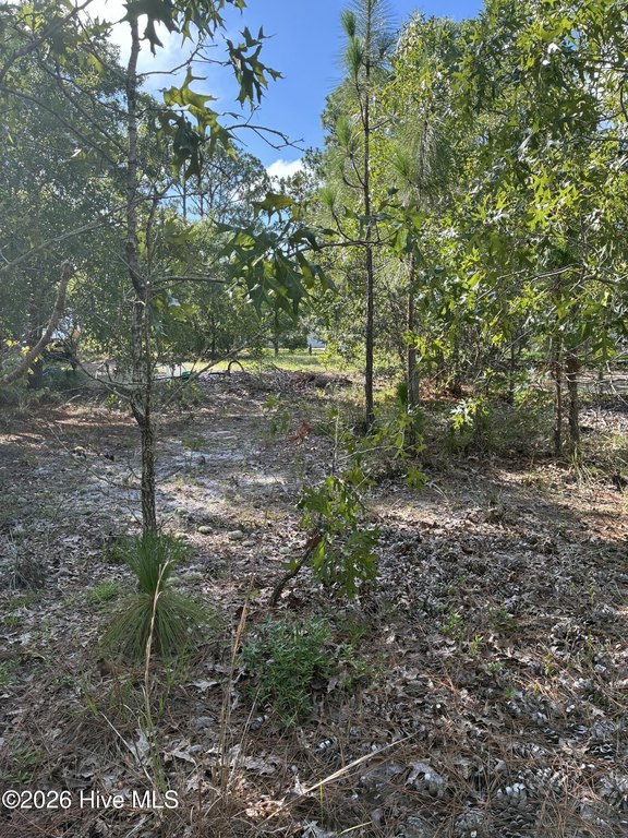 Picture 6