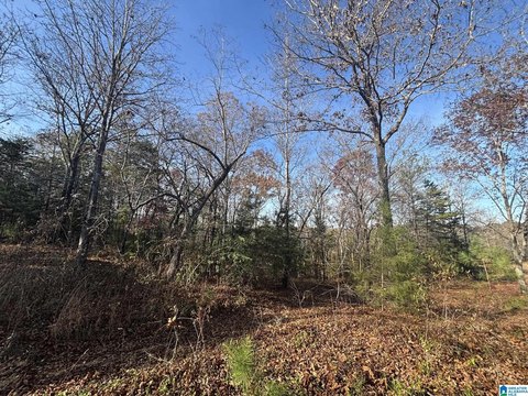 30 Acres Land in Talladega