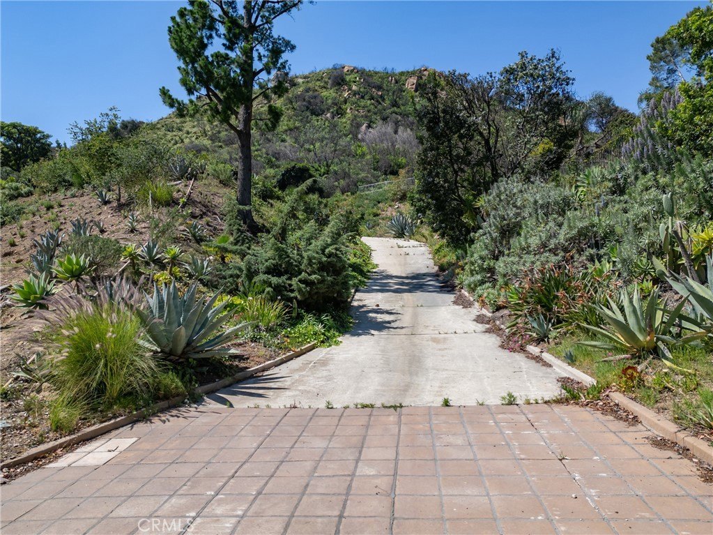 Picture 17