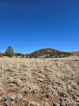 Build-Ready Mountain Land Parcel