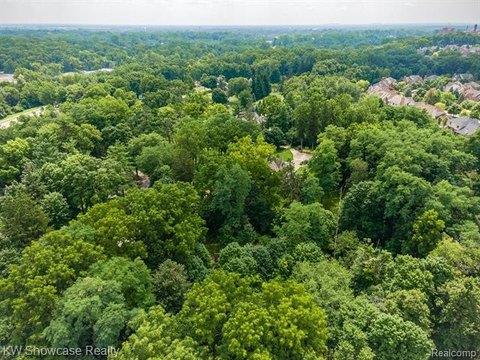 Northville Twp Wooded Land