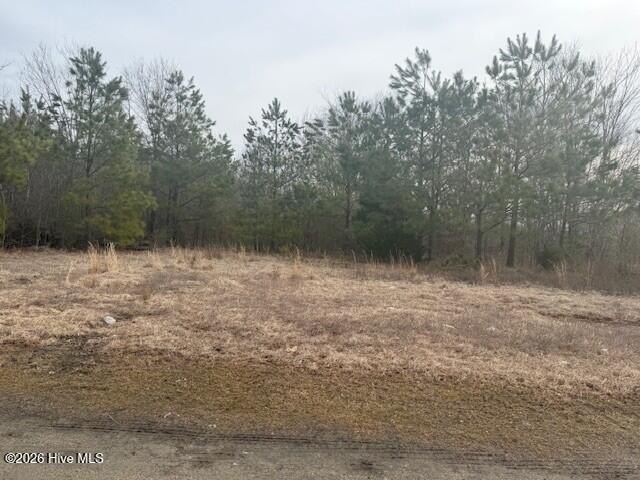 Woodland, NC Commercial Land