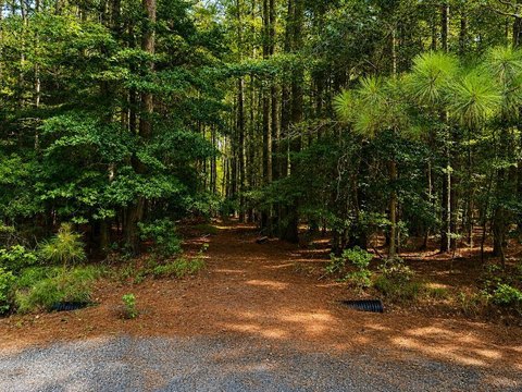 Land, PAINTER, VA