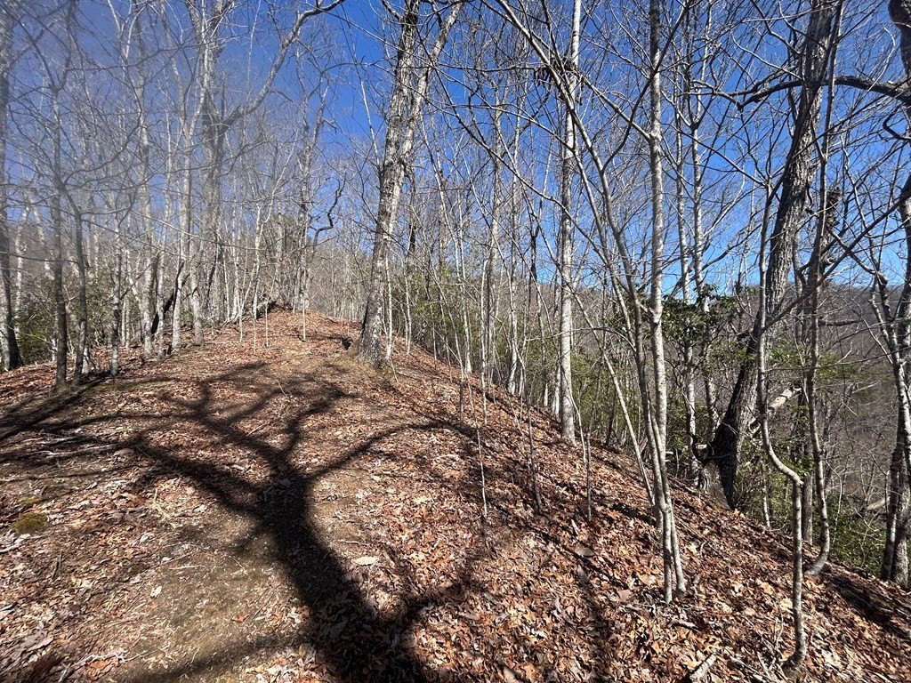 Picture 10
