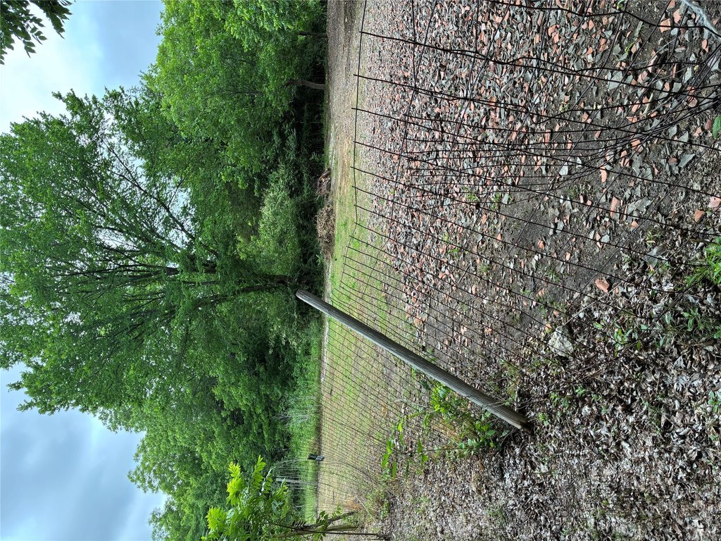 Picture 3