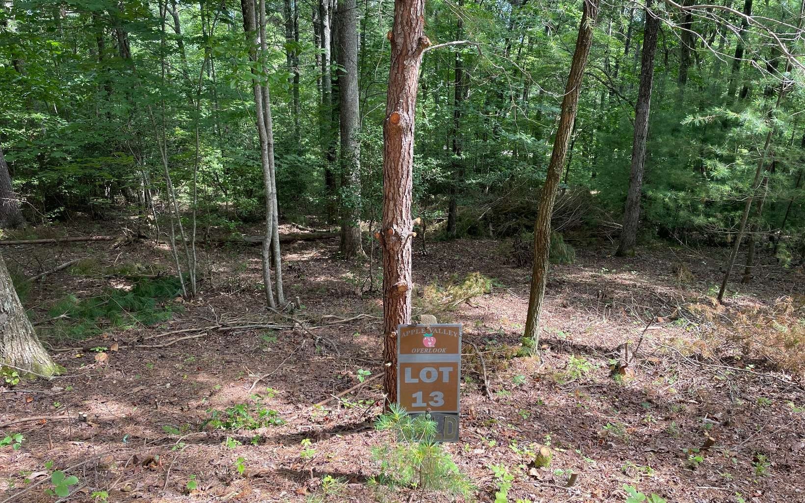 Blairsville, GA Vacant Lot