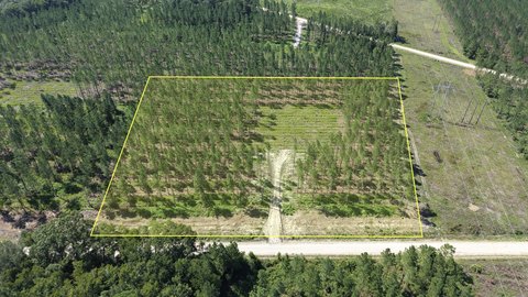 Land, Brunswick, GA