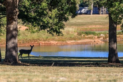 Fredericksburg Homesite in Gated Community