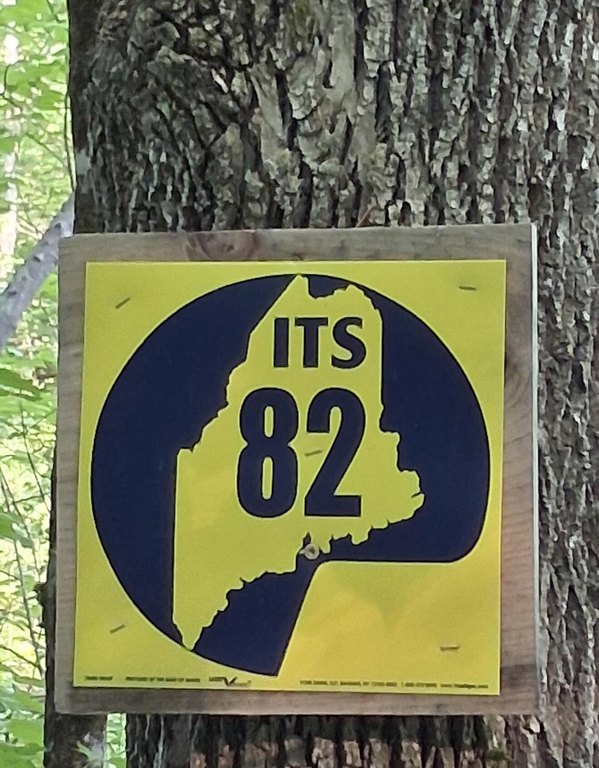 Picture 19