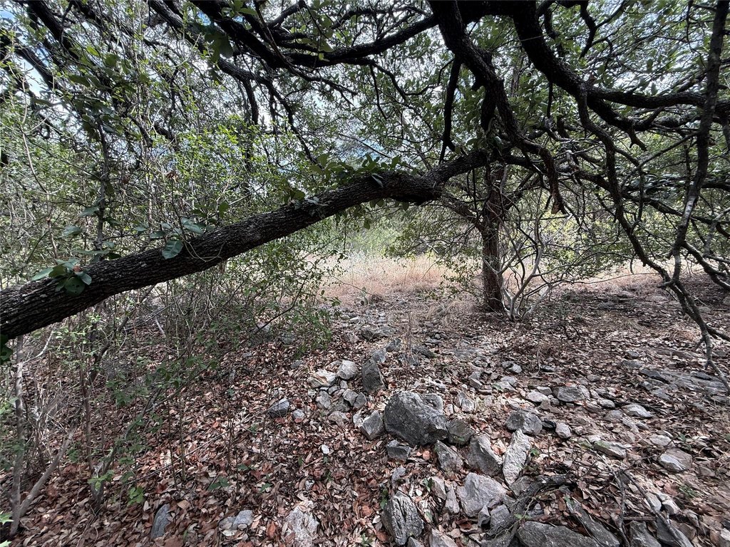 Picture 12