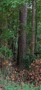 LAND - North Augusta, SC