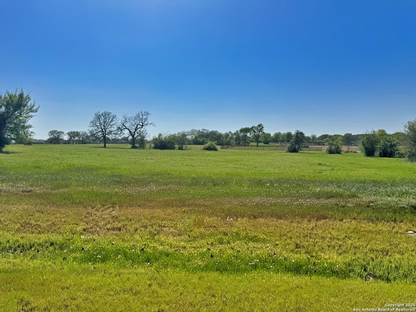 Residential Land in Iola, TX