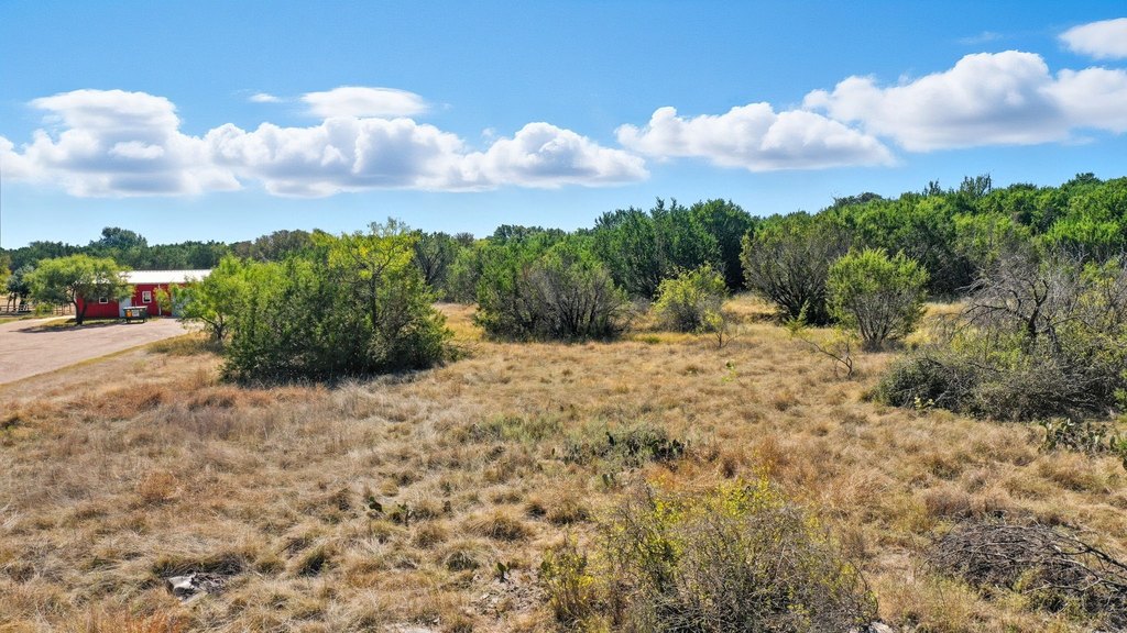 Picture 12