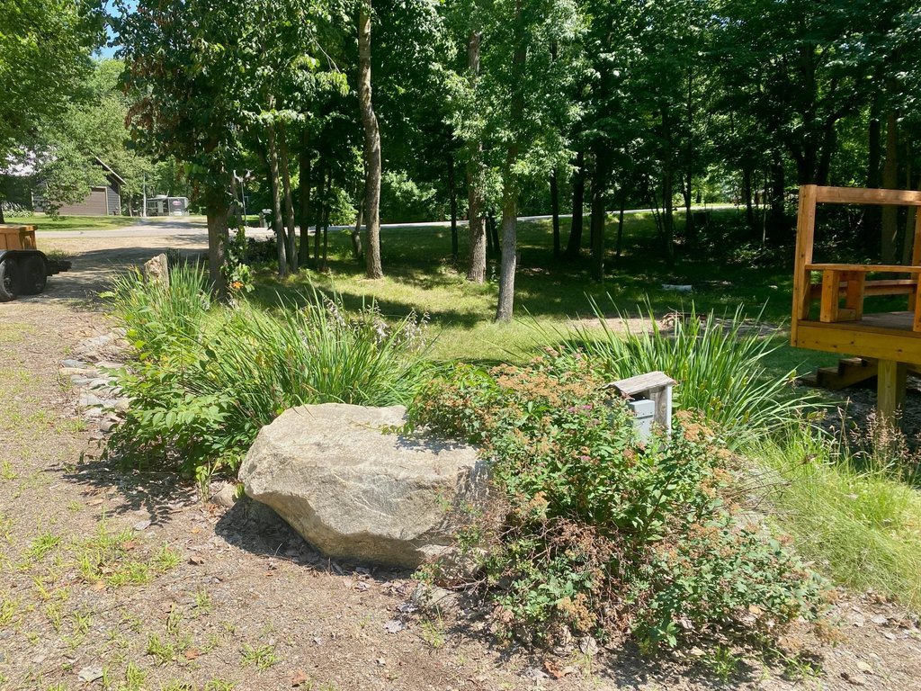 Picture 17