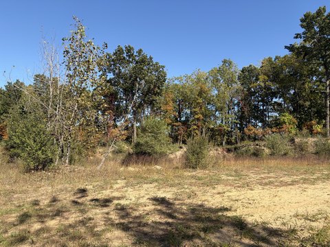 Land, Gobles, MI
