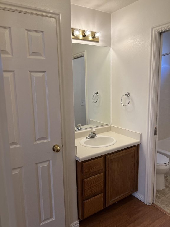 Picture 21
