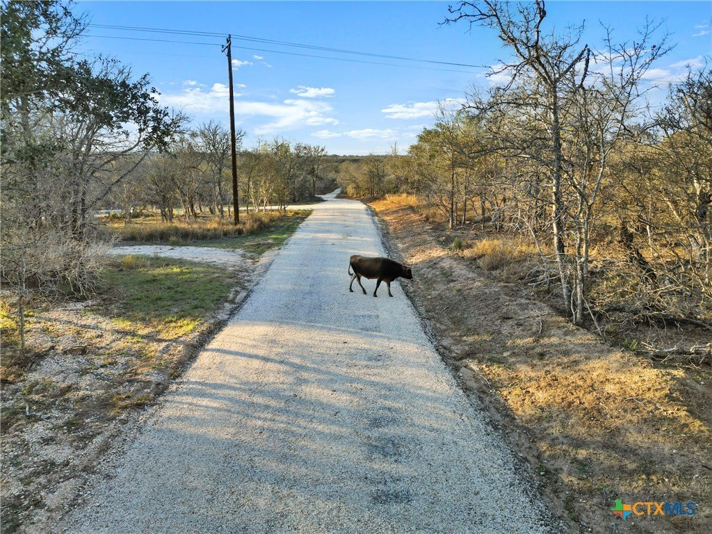 Picture 34