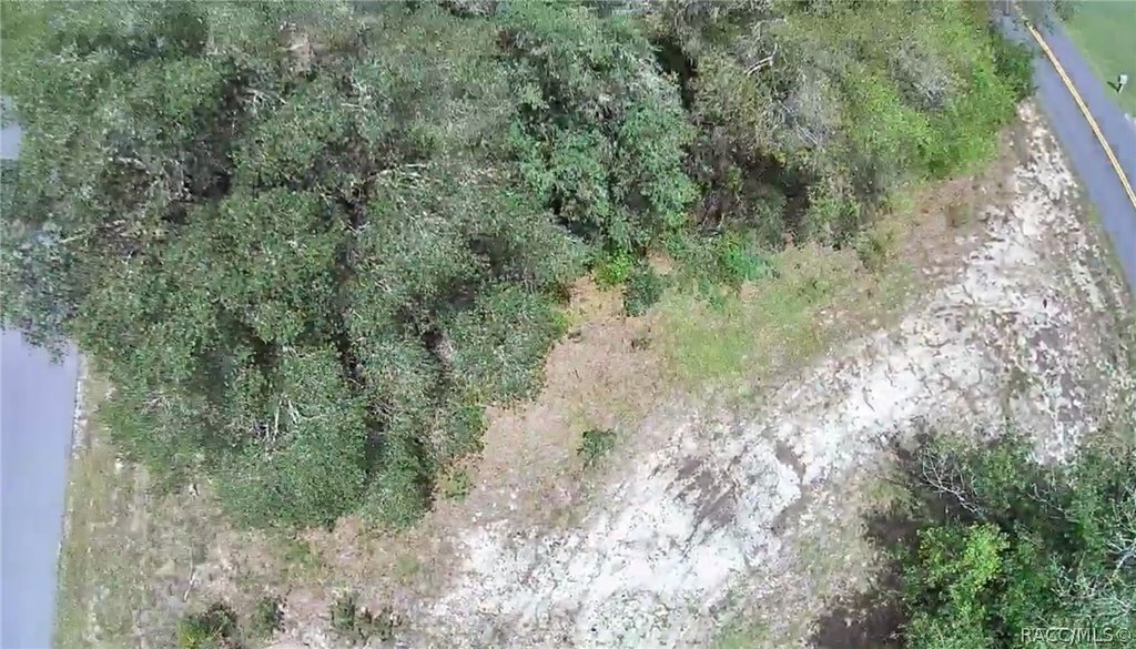 Picture 14