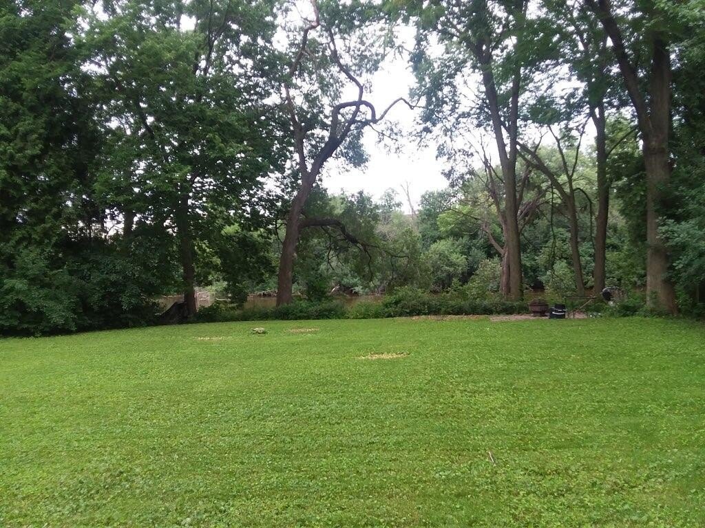 Picture 3