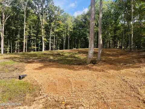 Land, Cedar Grove, TN