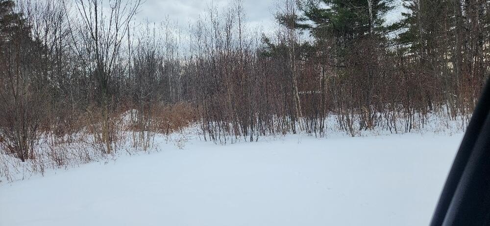 Partially Cleared Lot in Lagrange