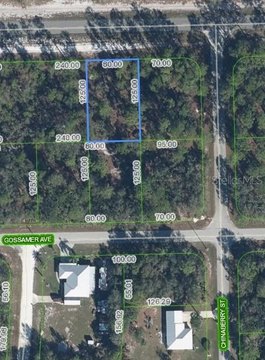 Land, LAKE PLACID, FL