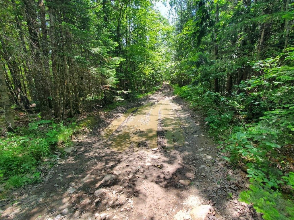 Picture 21