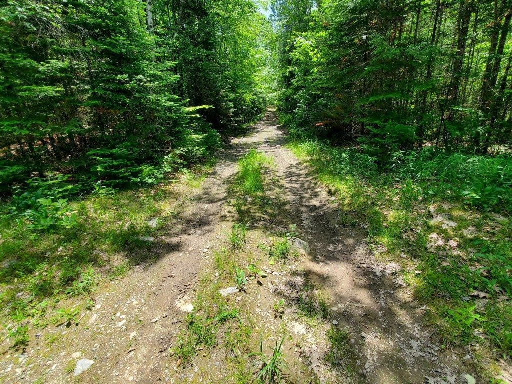 Picture 18