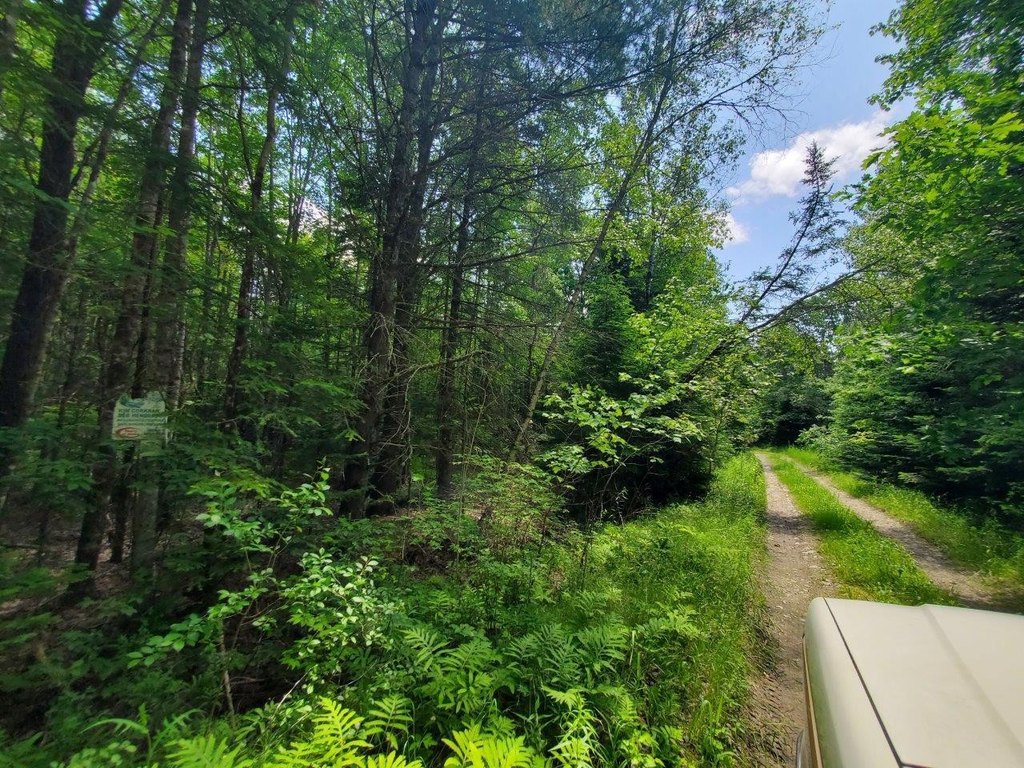 Picture 12