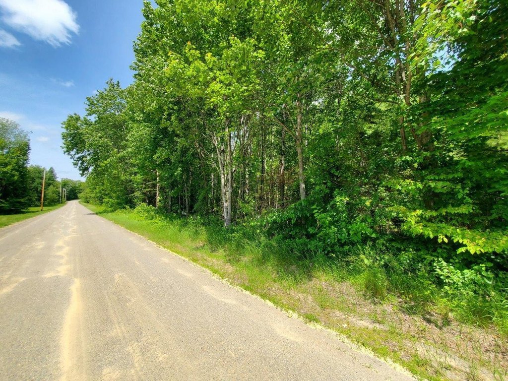 Picture 61