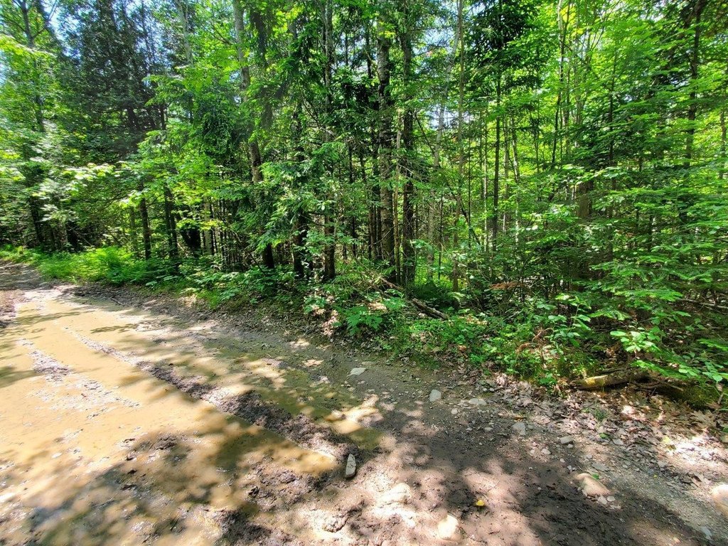 Picture 25
