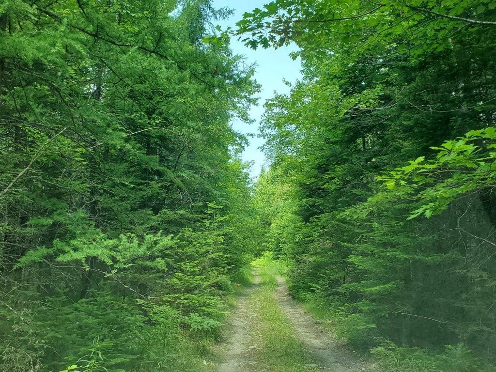 Picture 47