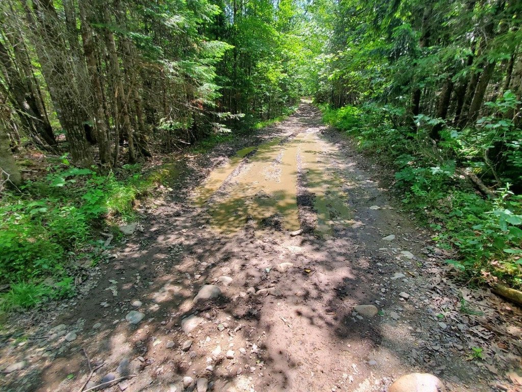 Picture 22