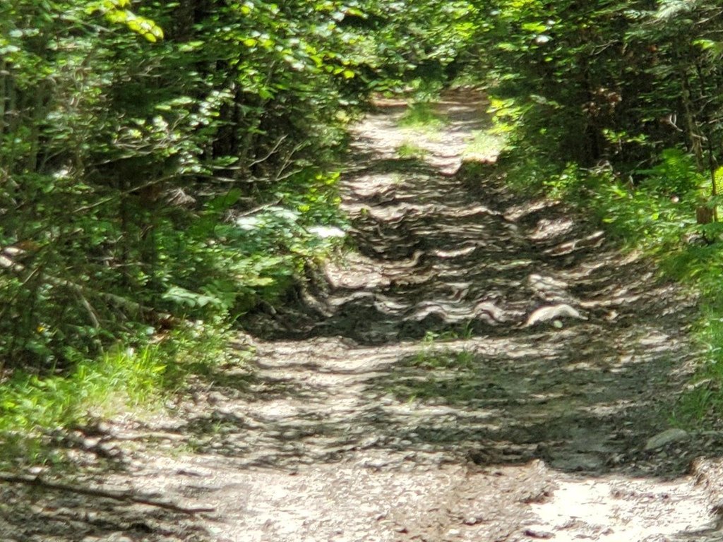Picture 29