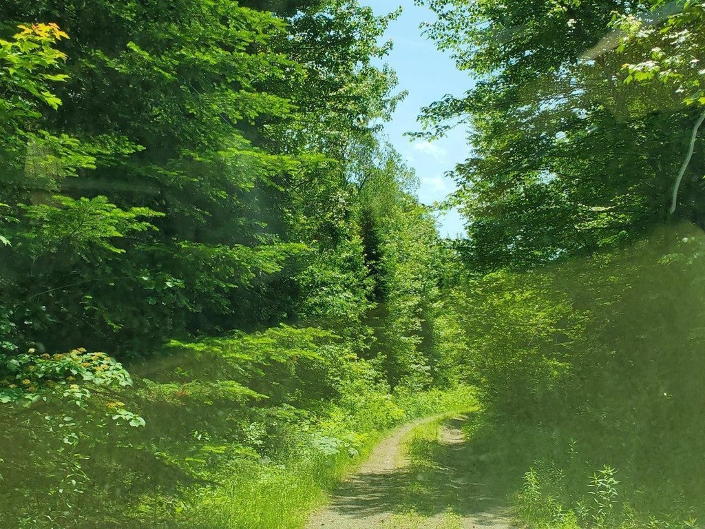 Picture 6