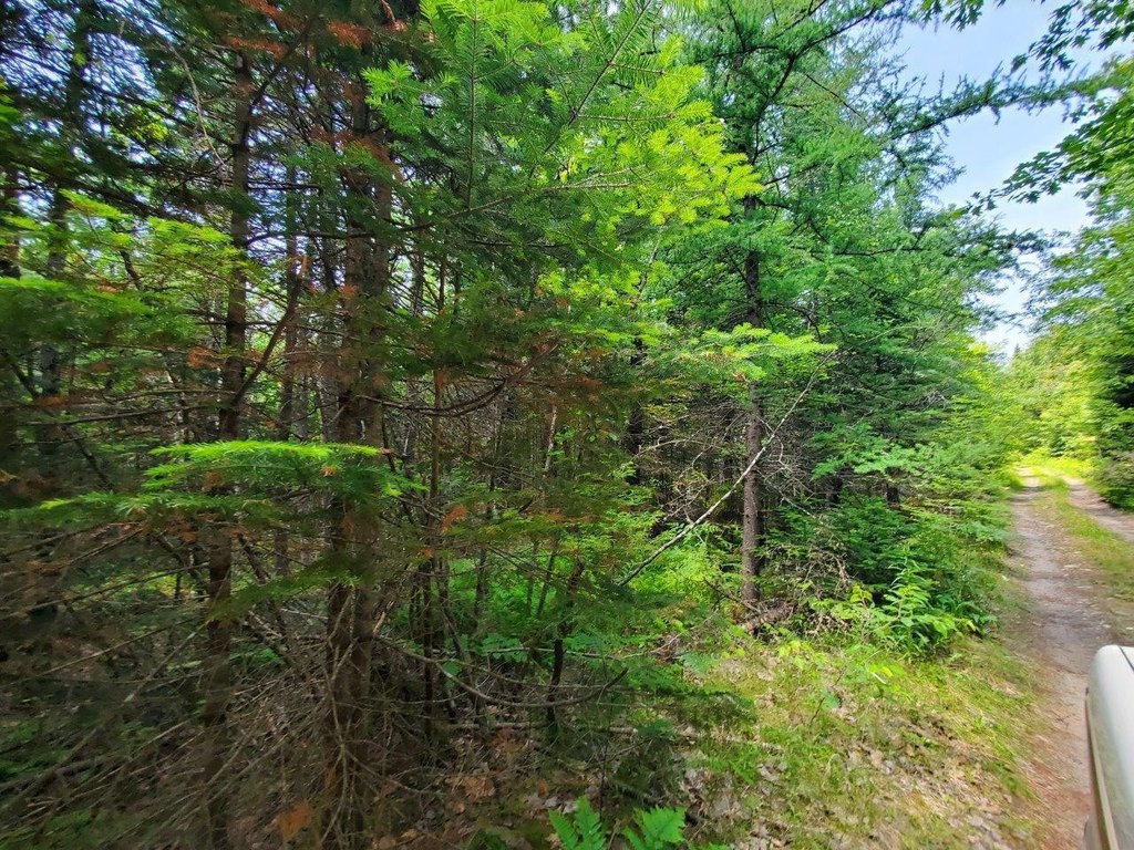 Picture 45