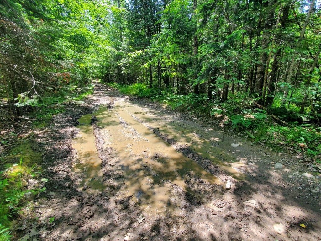 Picture 24