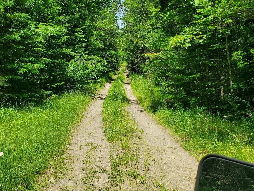 Picture 31