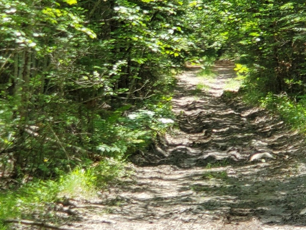 Picture 28