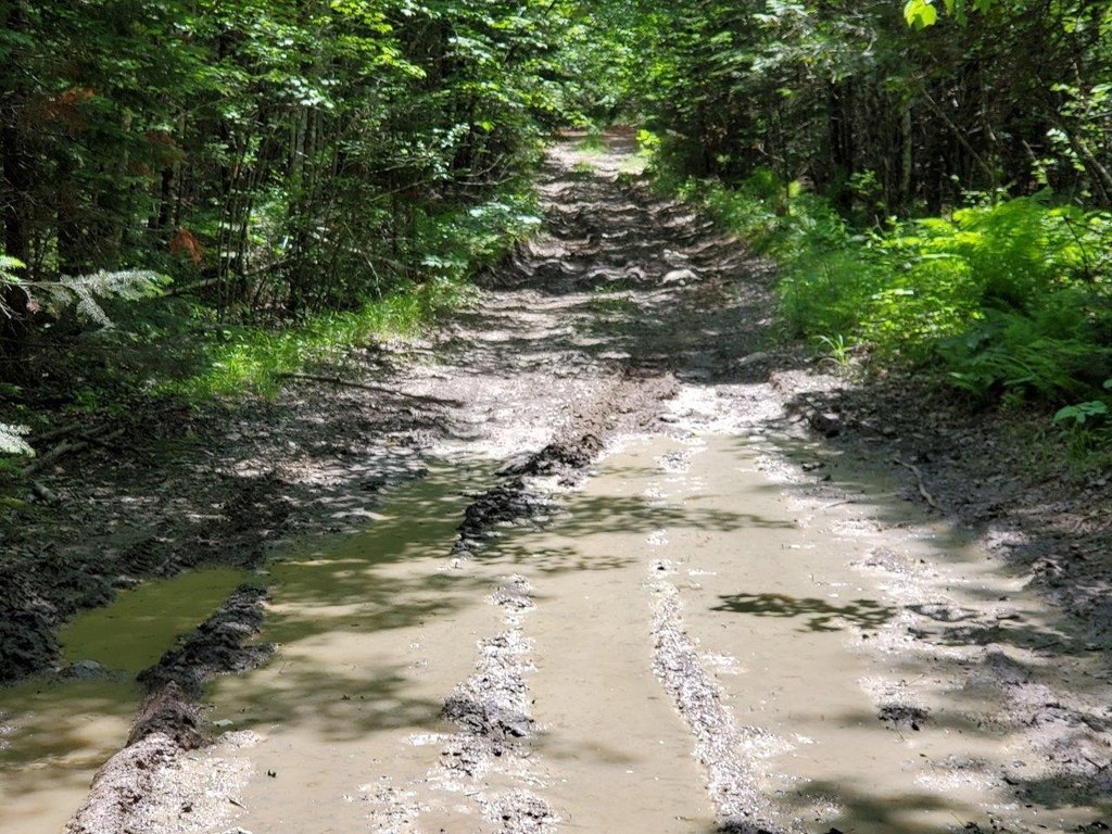 Picture 27