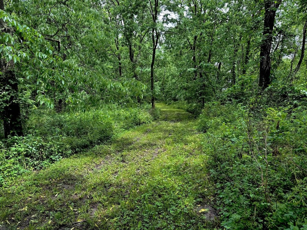 Picture 33