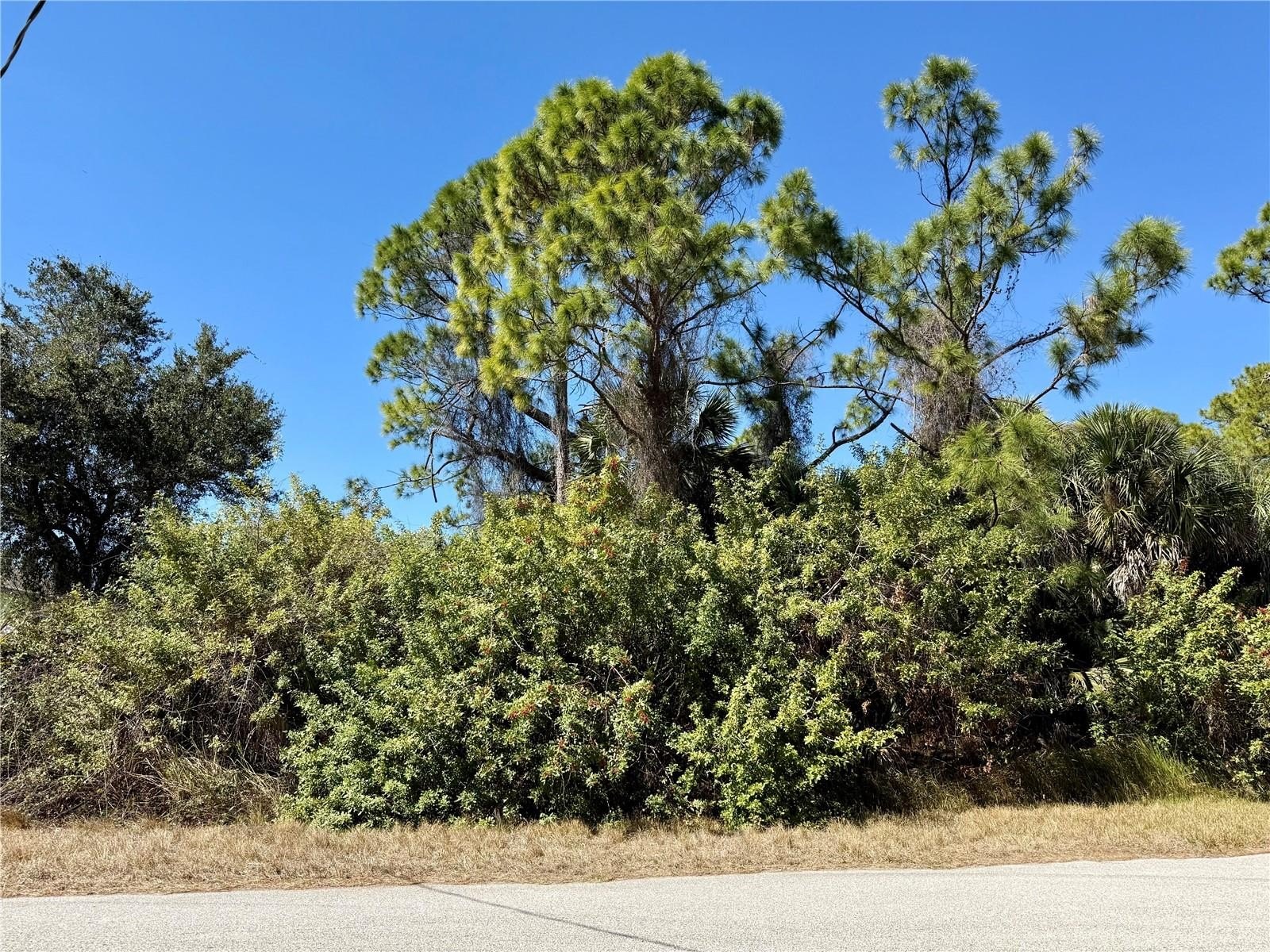 Residential Lot in North Port