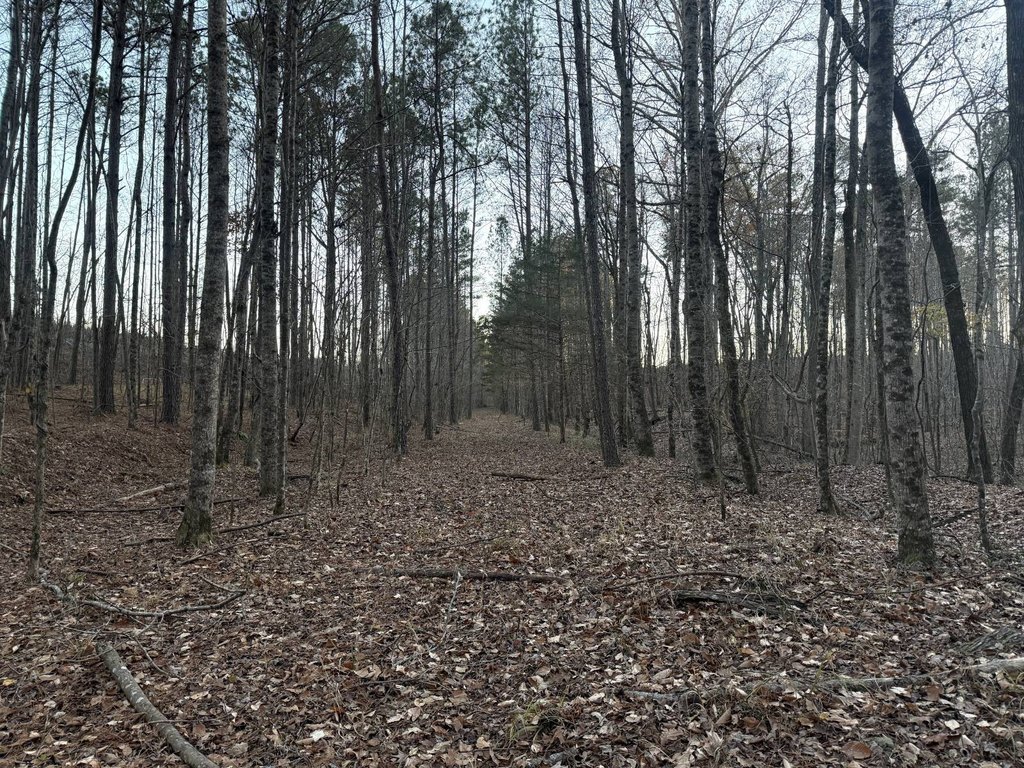 Picture 28