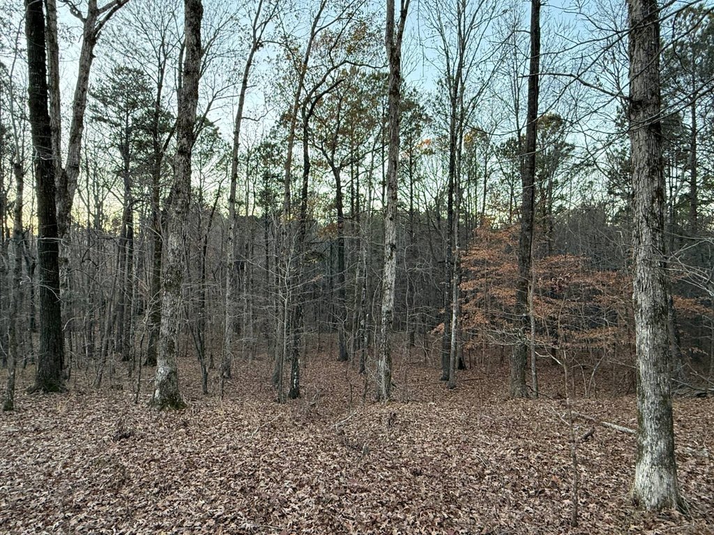 Picture 21
