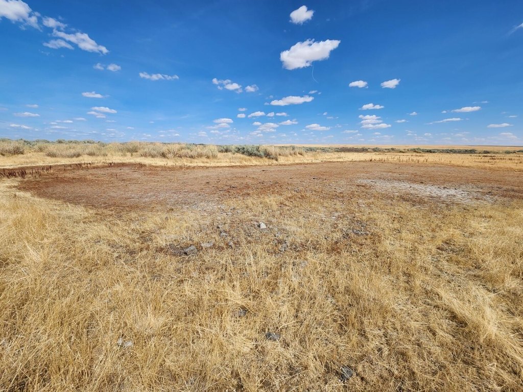 Picture 22
