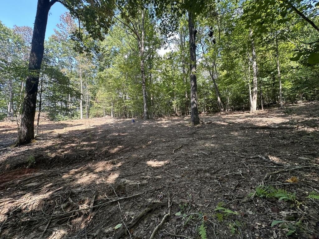 Picture 23