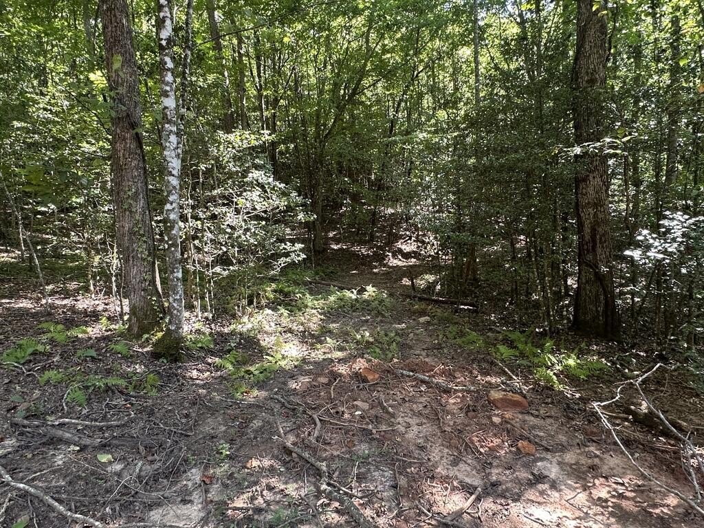 Picture 21