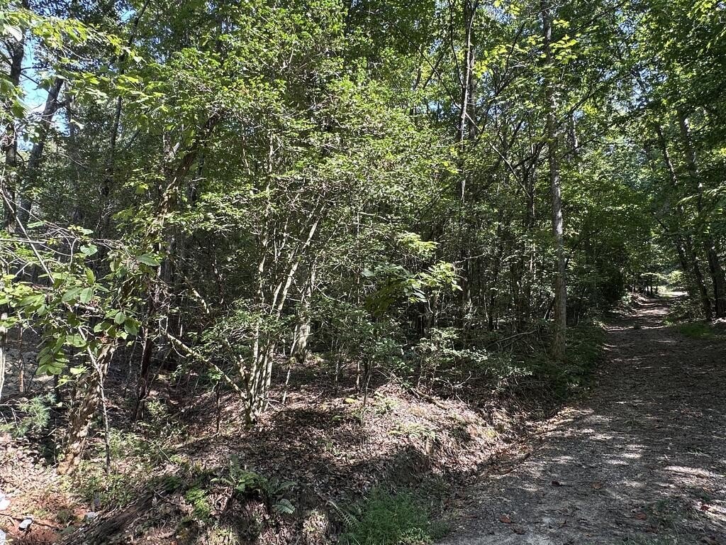 Picture 29